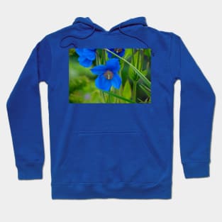 Blue Poppy Flower Elegance Hoodie